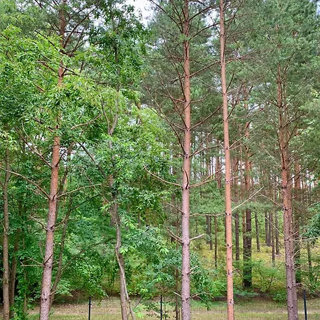 Domy Lesne Szumy Na Roztoczu Zwierzyniec Exterior photo