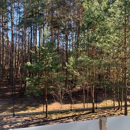 Domy Lesne Szumy Na Roztoczu Zwierzyniec Exterior photo