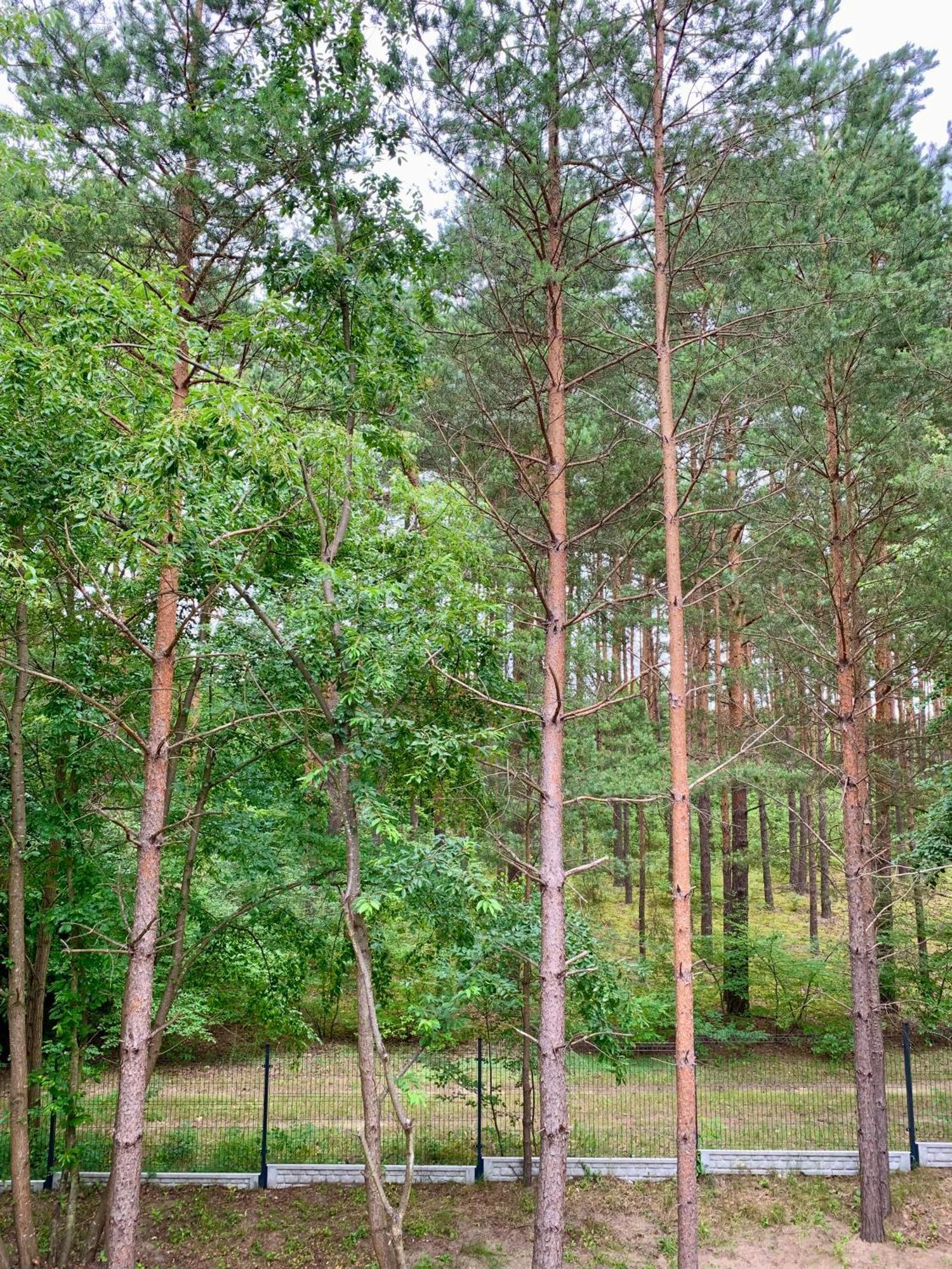 Villa Lesne Szumy Na Roztoczu *