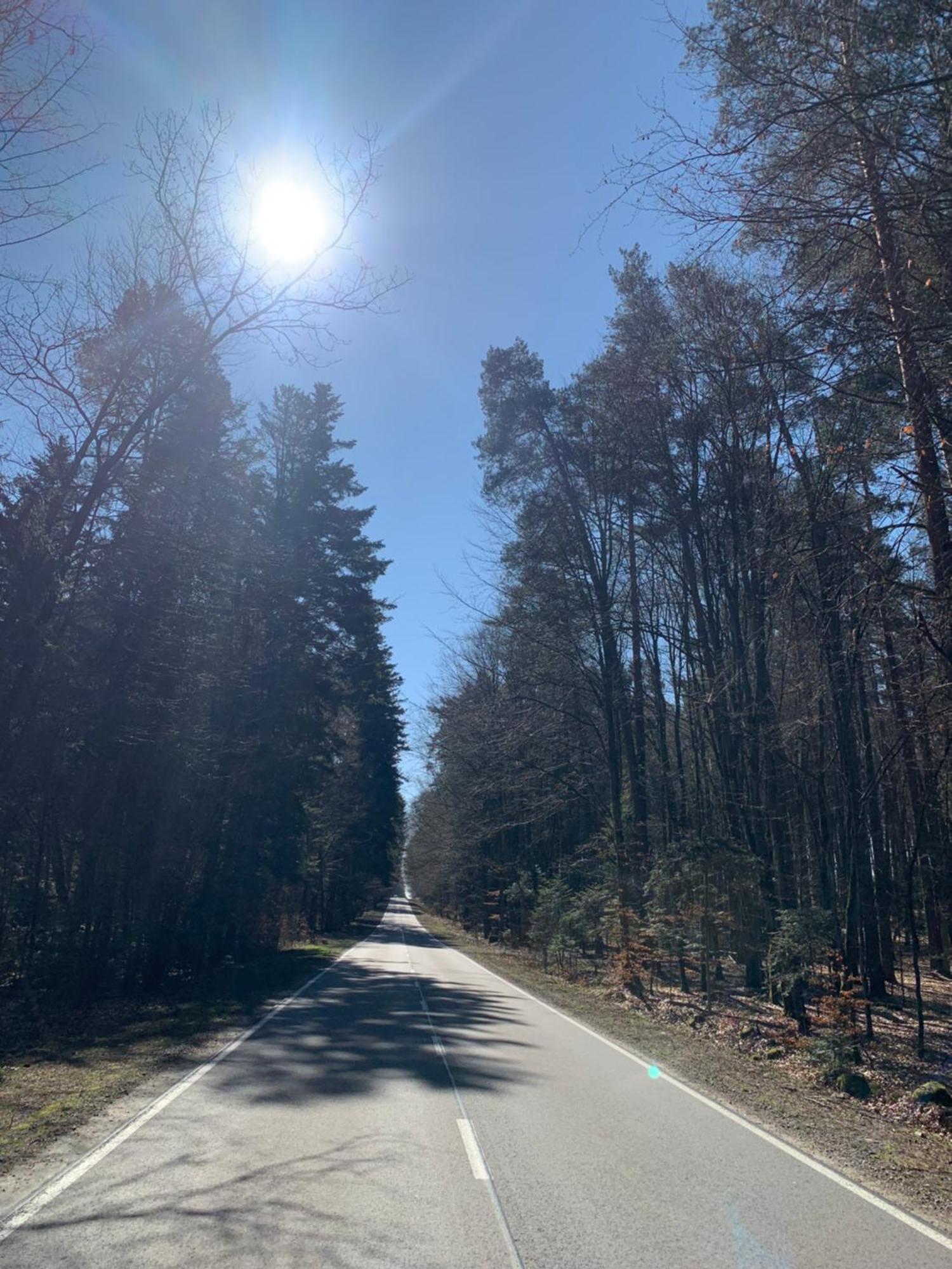 Lesne Szumy Na Roztoczu Villa Zwierzyniec